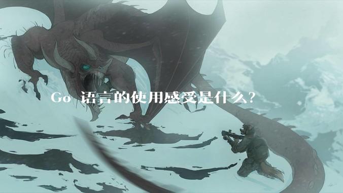Go 语言的使用感受是什么？