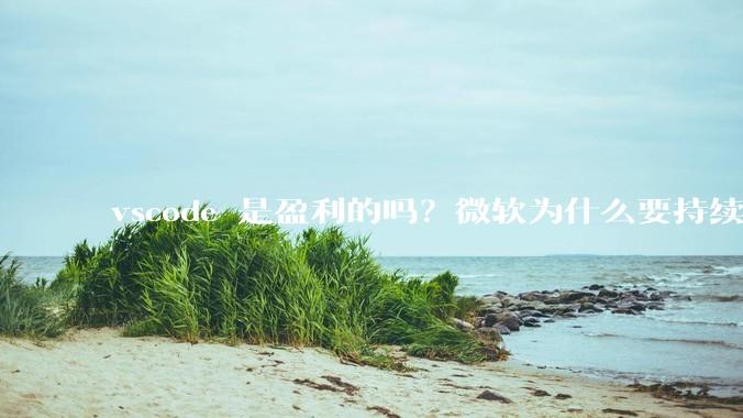 vscode 是盈利的吗？微软为什么要持续投入开发***？