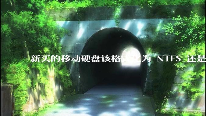 新买的移动硬盘该格式化为 NTFS 还是 exFAT？