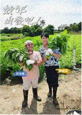 极闪影视奔跑吧